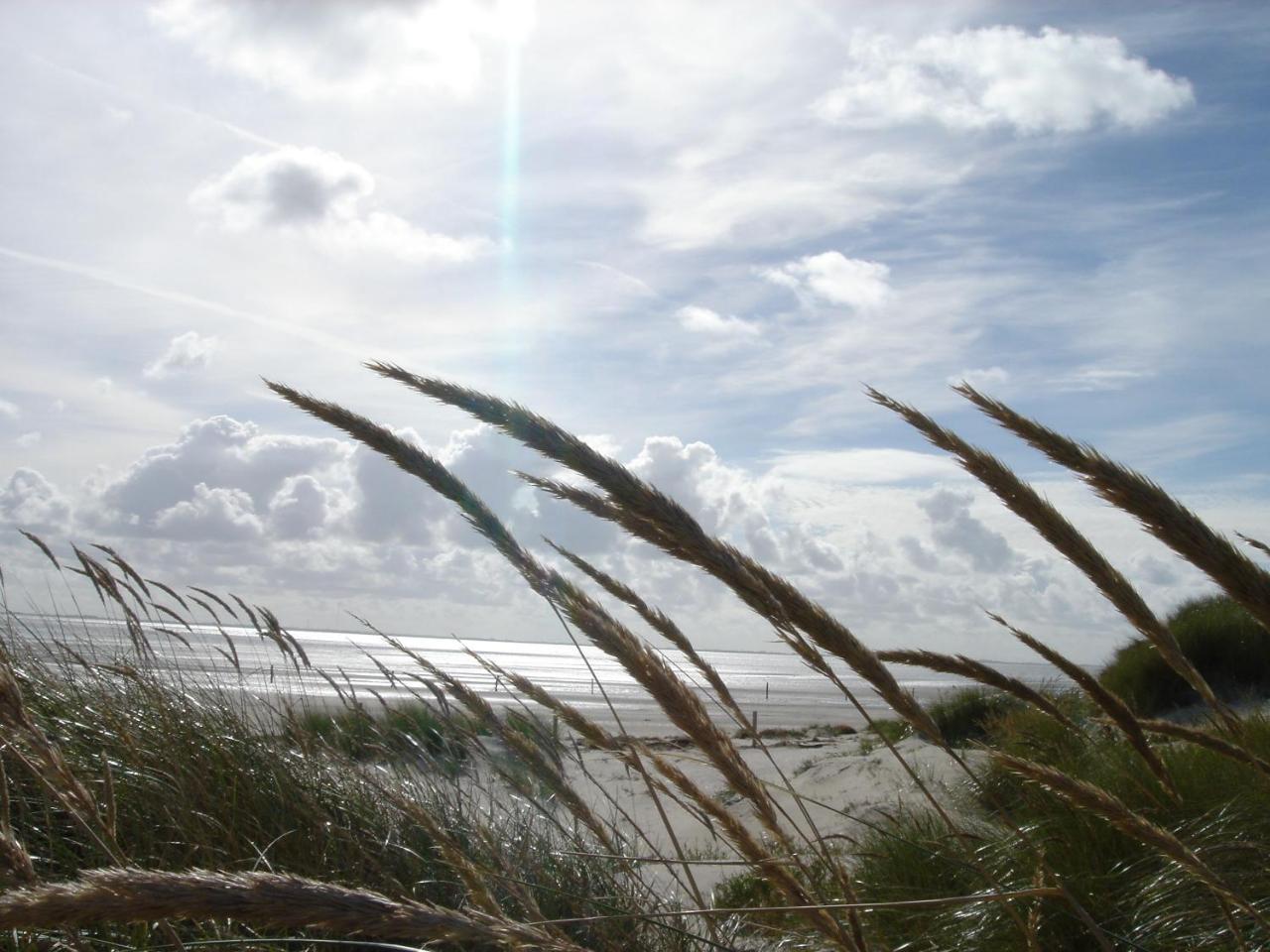 Suitenhotel Idyll Heckenrose Langeoog Exterior foto